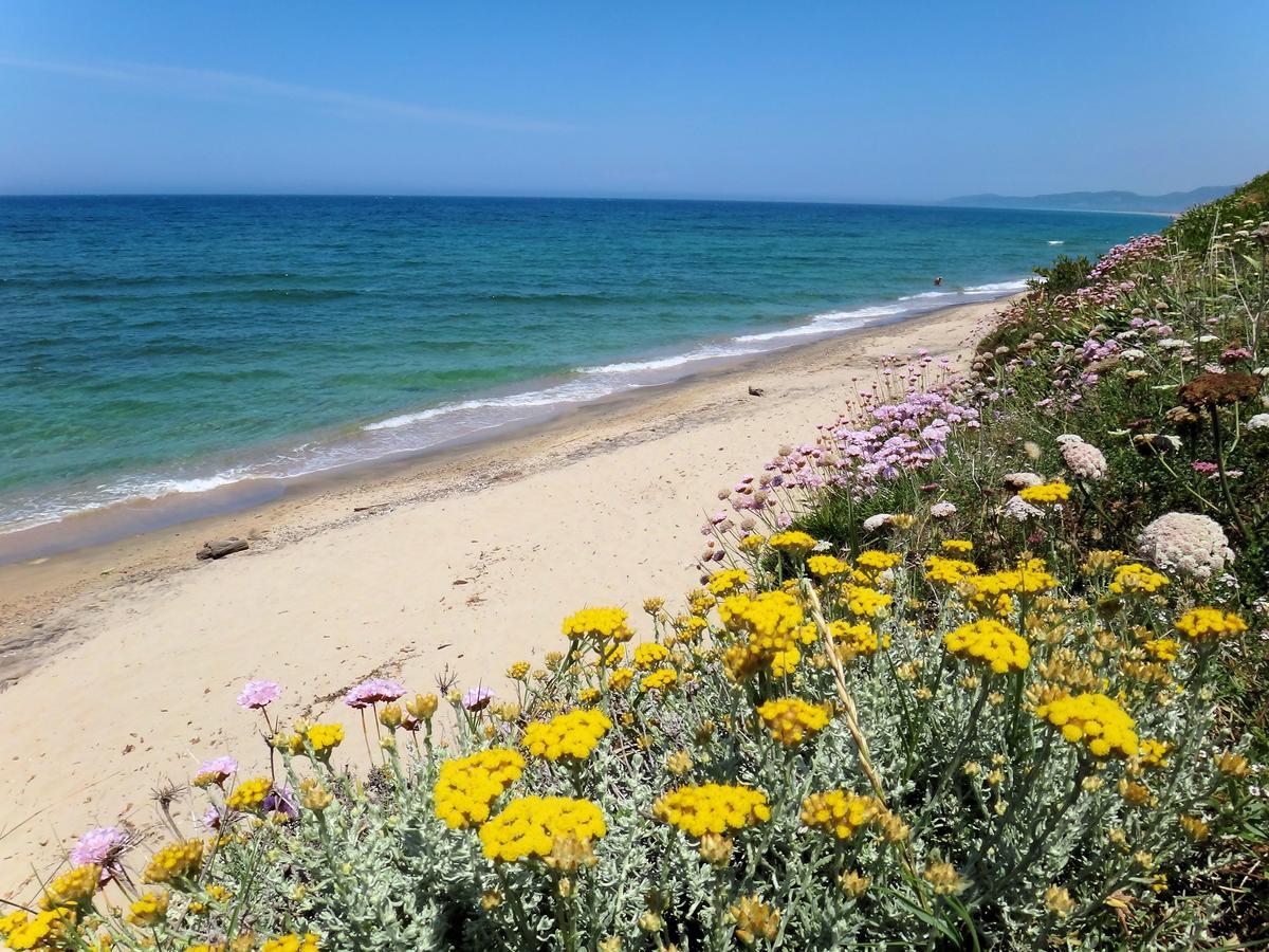 Sa Fiorida Case Vacanze فاليدوريا المظهر الخارجي الصورة