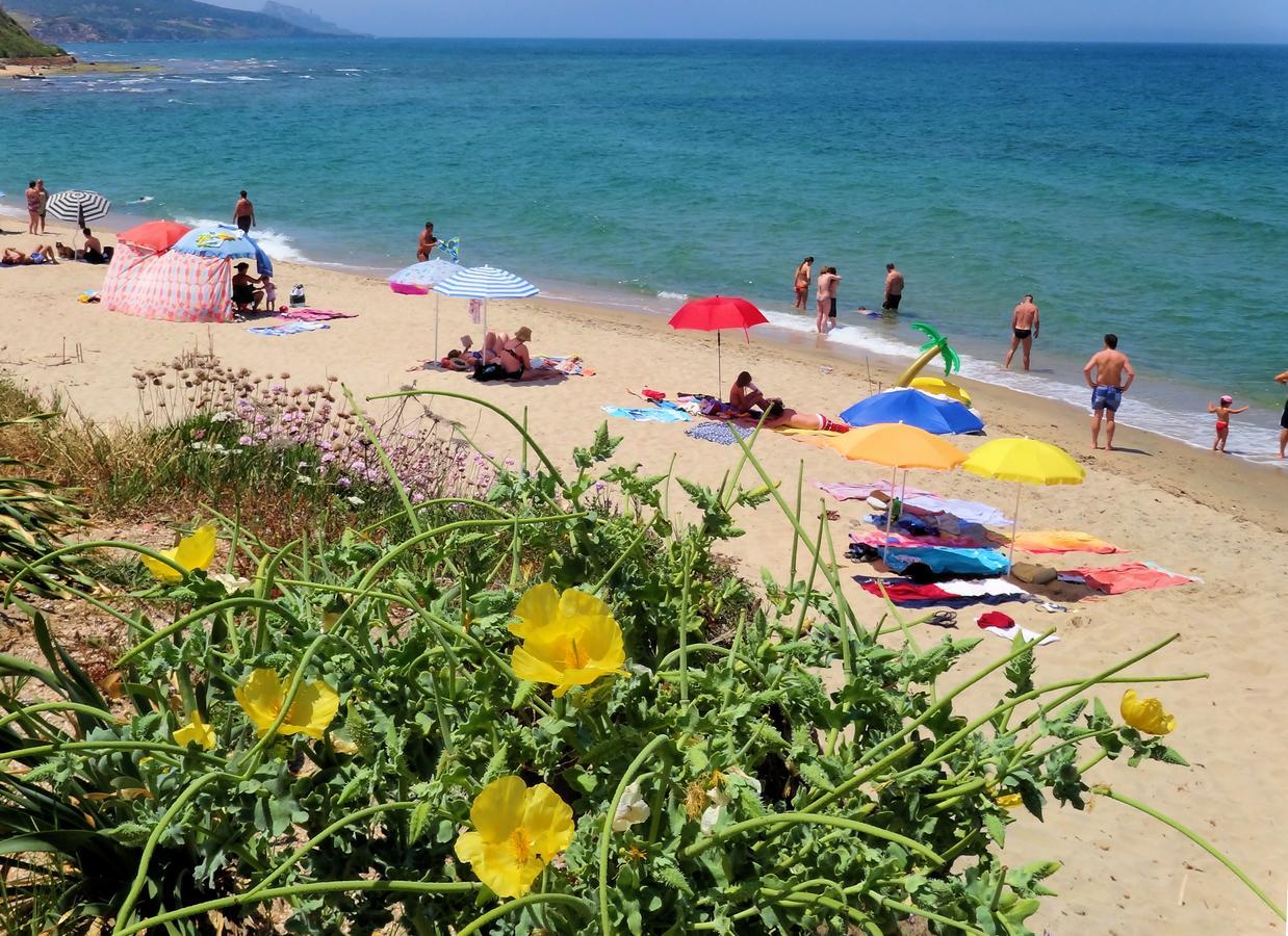 Sa Fiorida Case Vacanze فاليدوريا المظهر الخارجي الصورة